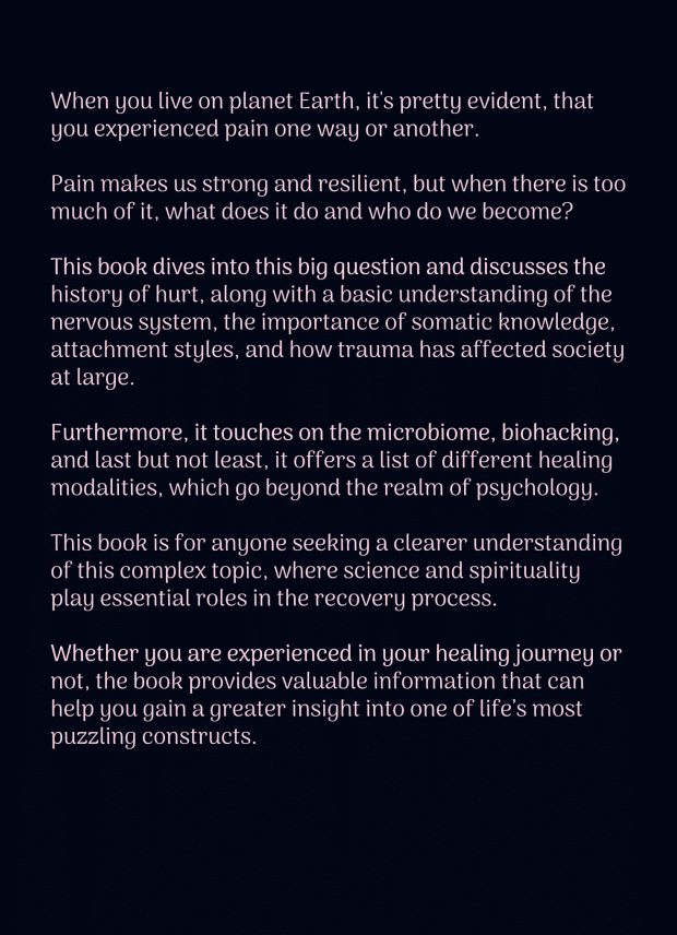 E-book: How to Deal with Hurt - A Trauma Book for Dummies - Image 2