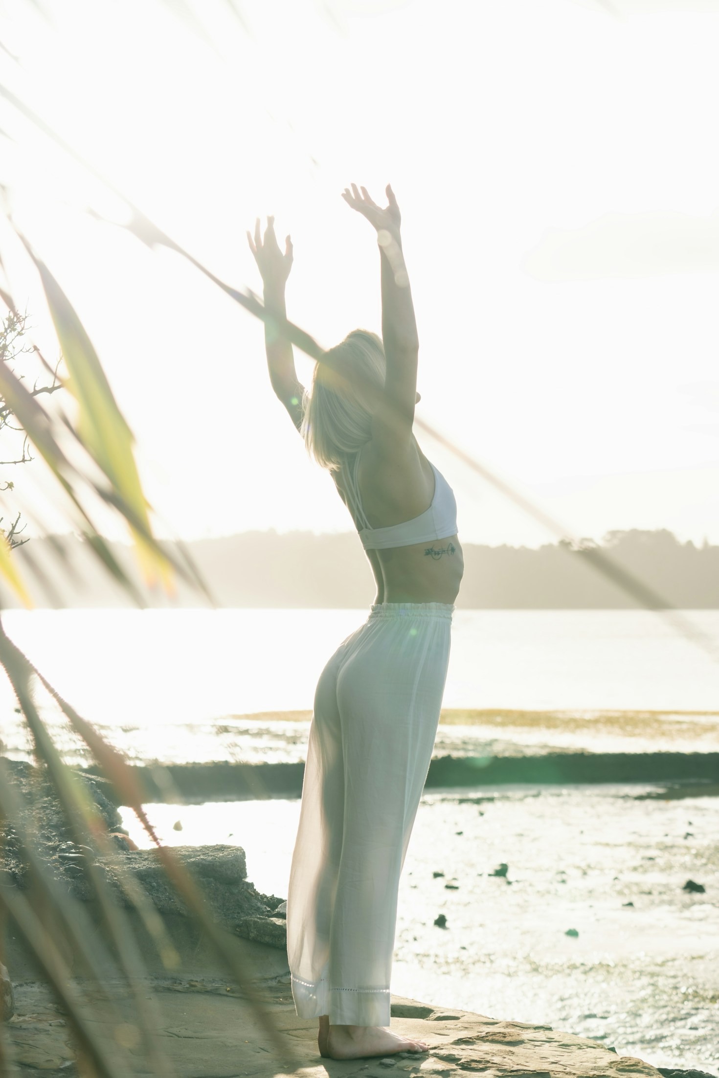 The Power Of Roots In Personal Growth