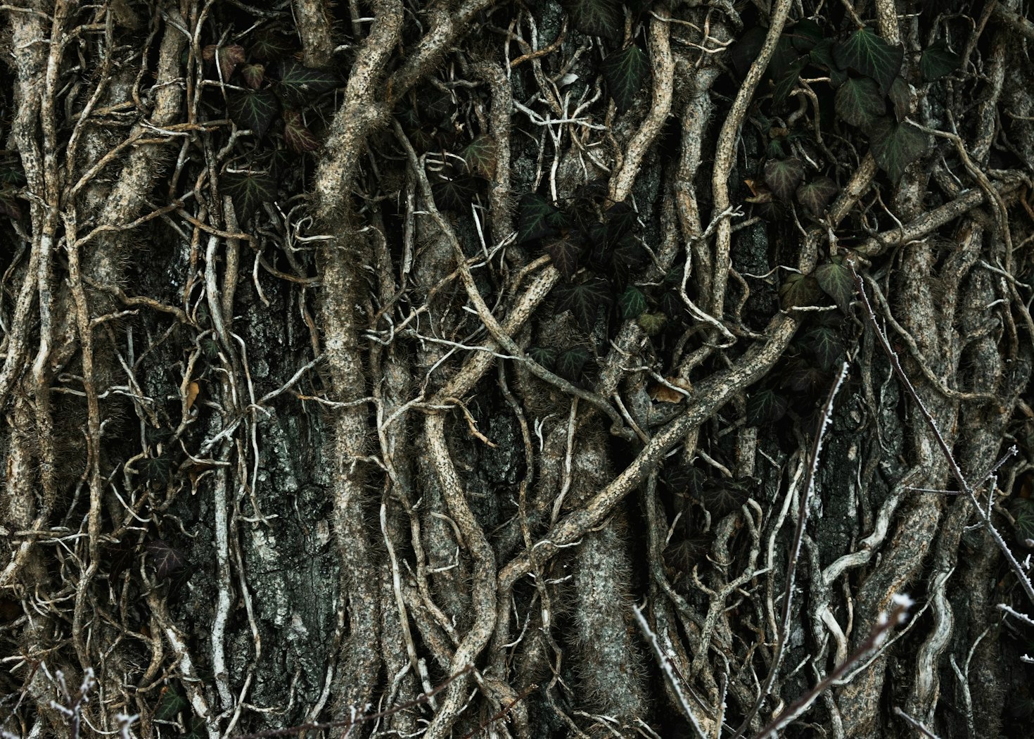 Guided Habits For Cultivating Emotional Resilience