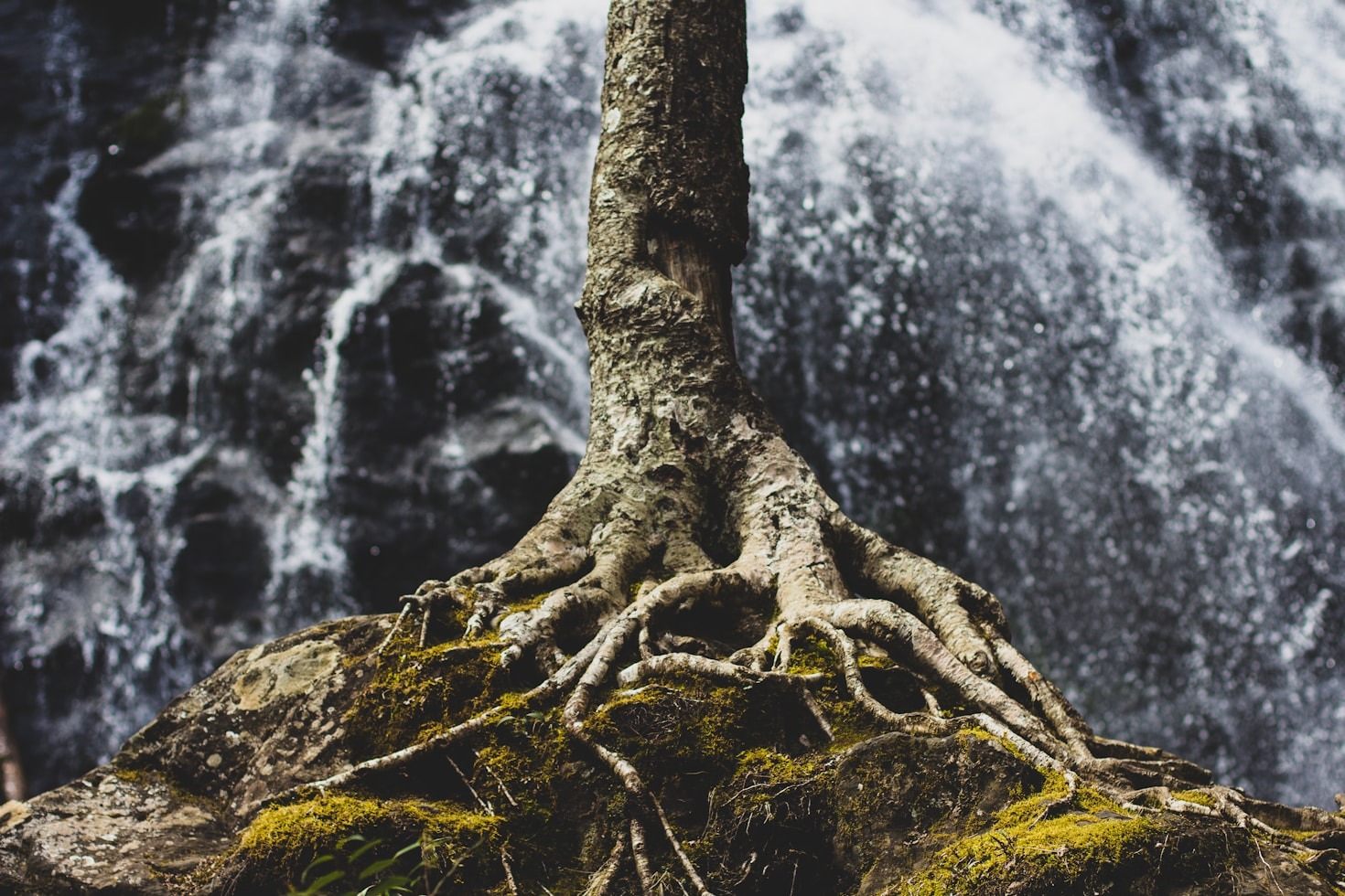 Finding Calm Through Seasonal Healing Rhythms